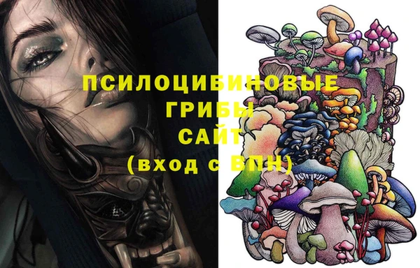 экстази Алексин