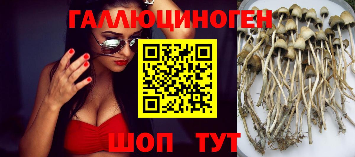 Галлюциногенные грибы Psilocybine cubensis  Вход с VPN  Кореновск 